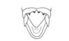 Ociotettix lubricus Amédégnato & Descamps, 1979: Fig. 143. male abdomen tip, dorsal view. (Otu).