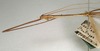 CollectionObject 1561934; 9baf44c1-018d-430c-ade2-e0069b19dd4b, NMW 1087: copyright NMW, Vienna. male: head and thorax, lateral view of synonym Sipyloidea debilitata (holotype). (CollectionObject).