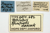 CollectionObject 1521830; OUM 692, 9880cc0b-6556-46cb-81bd-a0f328c92f1b: labels (holotype of Tettilobus spinifrons). (CollectionObject).