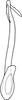 Aedeagus, ventral view on Changwhania terauchii (Matsumura, 1915): Aedeagus, dorsal view. (Observation).