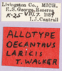 CollectionObject 1499578; 05077ca9-f92e-4195-bc3c-c507fa1eed0b: labels (allotype). (CollectionObject).