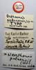 CollectionObject 1506163; d777ae79-e2a7-43b4-b4a3-cbda622ff4b8: labels (holotype). (CollectionObject).
