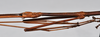 CollectionObject 1558564; 3ae685c8-f1c6-4bd0-85f7-d0b8fa72a781: copyright NTUC. male: head and thorax, lateral view (syntype). (CollectionObject).;CollectionObject 1558565; b09dd22e-7f33-4771-b1d9-24d893a97422: copyright NTUC. male: head and thorax, lateral view (syntype). (CollectionObject).