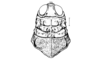 Enodisomacris curtipennis Cigliano, 1989: Fig. 217. male head and pronoutm, dorsal view. (Otu).