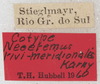 CollectionObject 1533024; eb0e04fb-162d-40c0-a26c-254ab78ad183: labels (syntype). (CollectionObject).