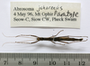 CollectionObject 1563742; eb27a73a-d4a0-4fea-a234-d04f849d976a: copyright FRIM. male, ventral view (paratype). (CollectionObject).