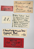 CollectionObject 1535531; 1ed528d2-3893-461f-99a4-c71ae9b1d677: labels (holotype). (CollectionObject).