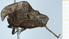 CollectionObject 1584421; 80110a2d-116f-48e6-9d43-f32d571424fa: female, lateral view (syntype). (CollectionObject).
