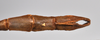 CollectionObject 1558569; 53e1fdbb-9161-455d-bcb1-b772a9e51aaa: copyright NTUC. male: end of abdomen, dorsal view (syntype). (CollectionObject).;CollectionObject 1558570; bfcc2c1d-711c-4901-beb1-4a62427f0abc: copyright NTUC. male: end of abdomen, dorsal view (syntype). (CollectionObject).