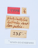 CollectionObject 1540287; dbac9ae7-0e6c-4c9e-ac88-923b571ba76d: labels (holotype). (CollectionObject).