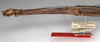 CollectionObject 1557632; NMW 644', f83f2320-a0b3-4996-b0f6-9fc414f2ffba: copyright NMW, Vienna. female: head & thorax, lateral view (syntype). (CollectionObject).