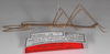 CollectionObject 1563021; bd3c7d02-6999-4e7a-9410-d8debdd8e059: copyright F. Hennemann. male, lateral view (paratype). (CollectionObject).;CollectionObject 1563022; 6e2aae74-808f-4206-8040-521e1a84f3ea: copyright F. Hennemann. male, lateral view (paratype). (CollectionObject).