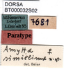 CollectionObject 1501743; d3d15413-78da-484e-aaa3-726adcd77867, DORSA BT000032S02: female labels (paratype). (CollectionObject).