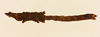 CollectionObject 1518061; f8b05ba8-dc0e-489f-a26d-c60e136ca92a, NHMUK015929436: female, dorso-lateral view (holotype). (CollectionObject).