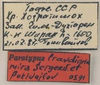 CollectionObject 1544641; dcc190f8-8a41-4e44-abb0-4484d7d10084: labels (paratype). (CollectionObject).