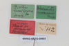 CollectionObject 1505596; 12a843f1-b3c7-4b55-80ef-1855a08ffb82: Male, labels (syntype). (CollectionObject).