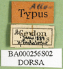 CollectionObject 1569218; c1ae6d35-0421-4613-ac23-34f6a0f3c5c3: labels (syntype). (CollectionObject).