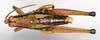 CollectionObject 1535525; 5b2443fd-ee27-4da9-a2b2-43aabaa0fbb9: male, dorsal view (holotype). (CollectionObject).