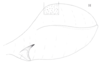 Neomenocria advena (Spinola, 1839): (Otu).
