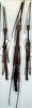 Pseudonogastris aculeata (Redtenbacher, 1906): copyright NMW. males and female (syntypes). (Otu).