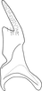 Stylus: !! display not done !! on Maiestas oryzae (Matsumura, 1902): Stylus. (Observation).