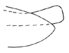 Pygofer, lateral view on Polana (Culumana) bacula (DeLong, 1979): Male: apical portion of pygofer, lateral view. (Observation).