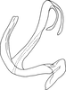 Aedeagus, lateral view on Anufrievia triangulata Yang & Zhang, 2018: Aedeagus, lateral view. (Observation).