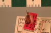 Anaplectoidea nitida Shelford, 1906: Copyright UMO, Oxford. Lectotype, dorsal view. (Otu).