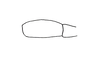 Nepiopteracris eburnifrons (Bruner, 1910): Fig. 10. female, final segment of maxillary palp. (Otu).