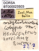 CollectionObject 1502350; 95bcdc54-93db-4b4c-9331-55a906e3c096: labels. (CollectionObject).