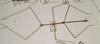 CollectionObject 1561734; 2f5df380-c182-446d-acab-d8f79b9ce006: copyright OUMNH. male (holotype). (CollectionObject).