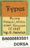 CollectionObject 1501216; 076973ea-f80d-4fe5-8576-9417b7a455d5, DORSA BA000883S01: labels (holotype). (CollectionObject).