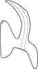 Aedeagus, lateral view on Erythridula abolla (McAtee, 1920): Aedeagus, lateral view. (Observation).