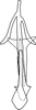 Aedeagus, ventral view on Anufrievia subapicifixa Yang & Zhang, 2018: Aedeagus, ventral view. (Observation).