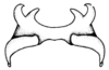 Leiotettix flavipes Bruner, 1906: Fig. 30. epiphallus, dorsal view. (Otu).