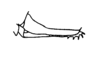 Ceuthophilus (Ceuthophilus) divergens Scudder, 1862: Fig. 152. ovipositor (female from South Fulton, TN). (Otu).