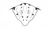 Kyphiacris andeana Carbonell & Descamps, 1978: Fig. 26. epiproct. (Otu).