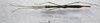 CollectionObject 1584638; 6ee1049d-c914-4198-8ba4-4b054f030ca4: (CollectionObject).