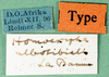 labels (syntype). Depicts CollectionObject 1578813; b9431a05-a964-4ae6-8f95-8d3a7af0f5fa, a CollectionObject.