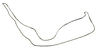 Stylus on Coelogypona venosana DeLong & Freytag, 1966: Male: style, lateral view. (Observation).