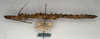 CollectionObject 1560134; 34aecbc7-111e-443a-ab41-e42d20941523: copyright NMW, Vienna. female, lateral view (lectotype). (CollectionObject).