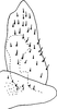 Subgenital plate, ventral view on Drakensbergena fuscovittata Linnavuori, 1961: Subgenital plate. (Observation).
