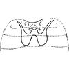 Abdomen, sternal apodemes, ventral view on Farynala novica Dworakowska, 1970: Abdomen, sternal apodemes, ventral view. (Observation).