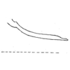 Pygofer ventral appendages, ventral view: Pygofer process, ventral view (holotype). (Observation).