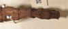 CollectionObject 1559796; abe40788-e460-45e7-aba4-f619597e03e7: copyright OUMNH. female: end of abdomen, dorsal view of Phasma (Lonchodes) luteoviride (holotype). (CollectionObject).