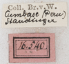 CollectionObject 1531294; fbe28d45-cd33-41f3-83e9-6911d6b896b3: labels. (CollectionObject).