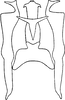 Aedeagus, ventral view: !! display not done !! on Hymetta anthisma McAtee, 1919: Aedeagus, connective, and styli. (Observation).