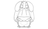 Dichroplus democraticus (Blanchard, 1851): Fig. 3. male head, frontal view. (Otu).