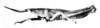 CollectionObject 1518472; 53598579-4ba7-4fbf-85aa-b737d52238bf: Fig. 7 B. male, lateral view (holotype) (body length 24 mm, pronotum 5.1 mm, tegmen 3.8 mm, hind femur 12.5 mm). (CollectionObject).
