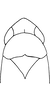 Head: !! display not done !! on Alconeura (Alconeura) rotundata Ball & DeLong, 1925: Head and thorax. (Observation).